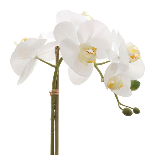 Orchids Phalaenopsis Real Touch with Leaves 53cm White