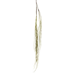Willow Vine Spray 1.6M Green