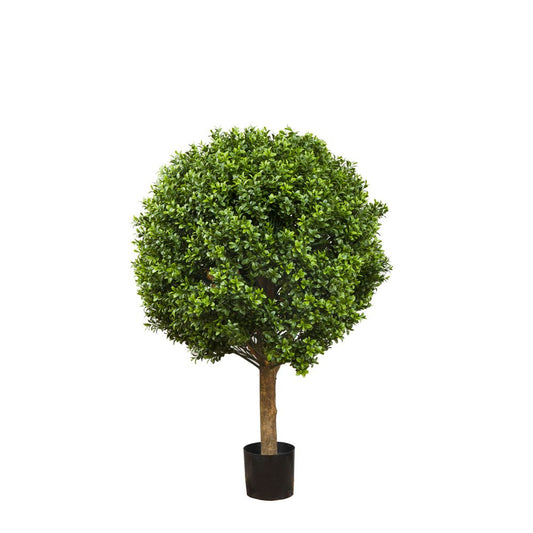 Boxwood Ball Tree 75Cm