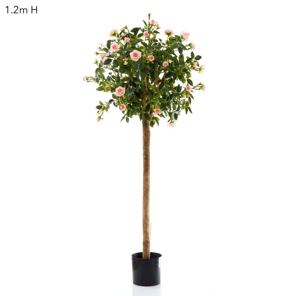 Diamond Rose Ball Tree Pink 105Cm