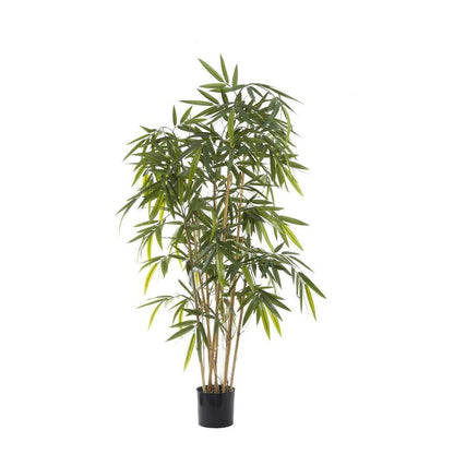 新竹树预算160万