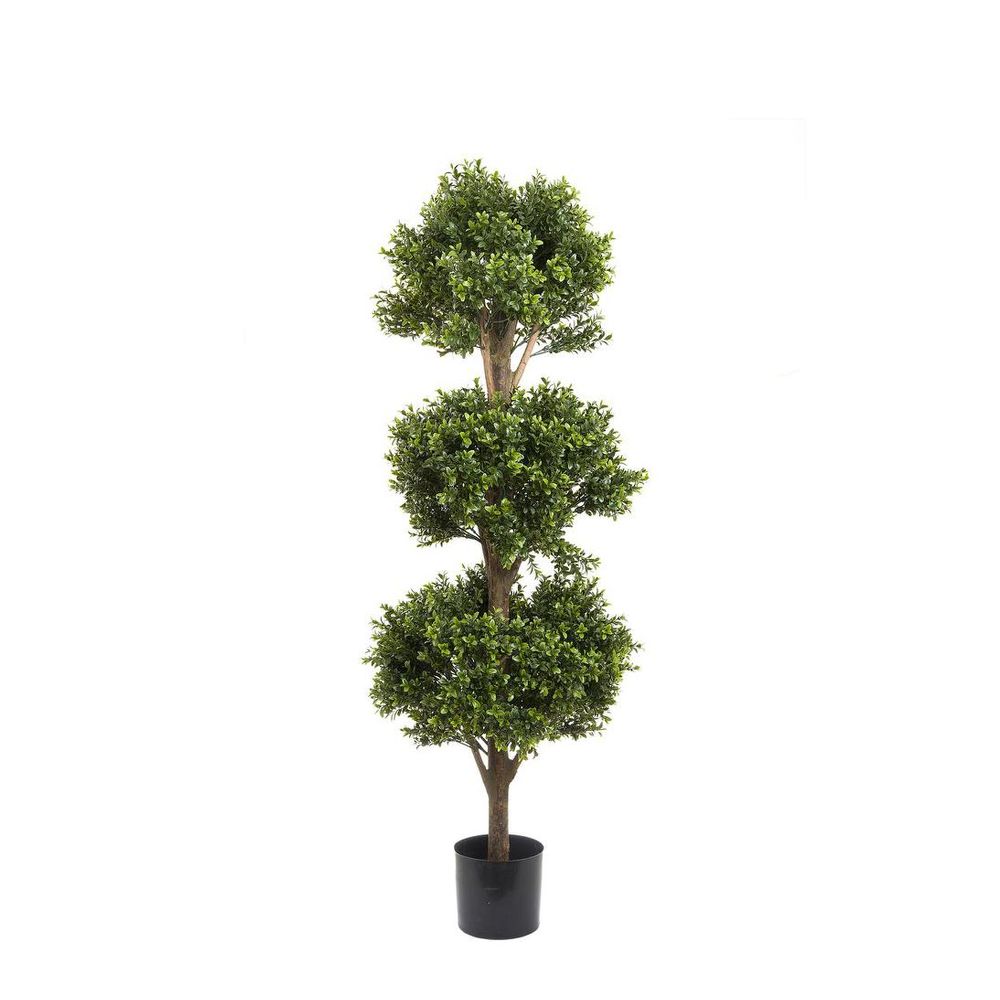 Boxwood Triple Ball Tree 1.2m - (Lure Home Favourite)