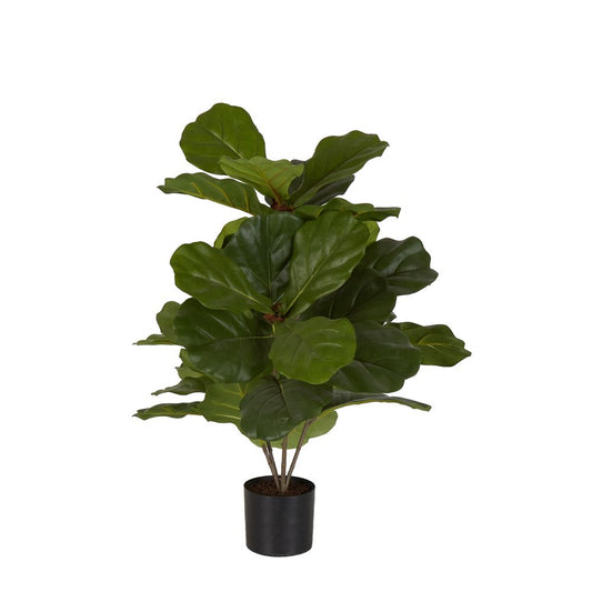 Fiddle Leaf Fig Potted Plant 65Cm