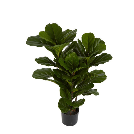 Fiddle Leaf Tree 93Cm