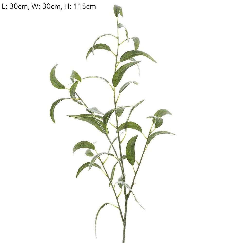Eucalyptus Spray Thin Leaves 1.15M