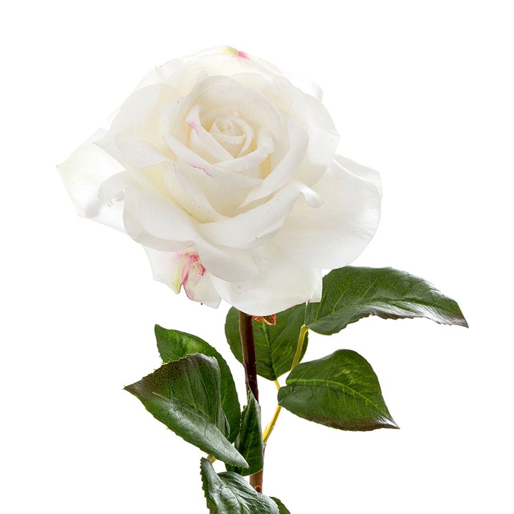 Rose True Touch 50Cm White