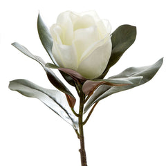 Magnolia Single Head 70Cm White