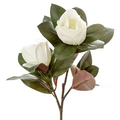 Magnolia Large 2 Heads 85Cm White