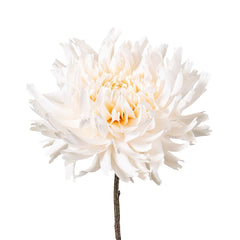 Dahlia Spray 56Cm Cream