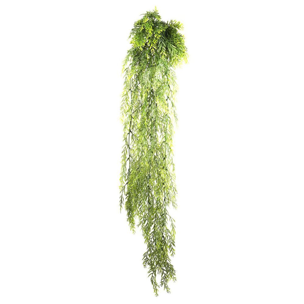 Rosemary Bush Hanging 1M
