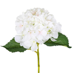 アジサイ 茎 62cm ホワイト