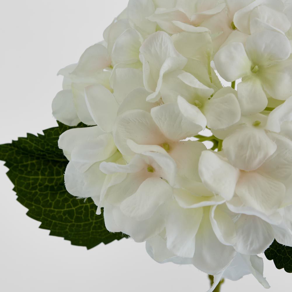 Hydrangea Stem 62cm White