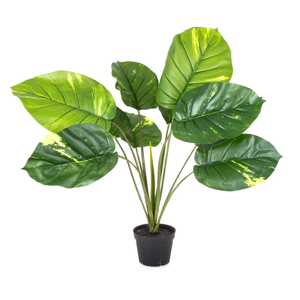 Pothos Real Touch 70Cm