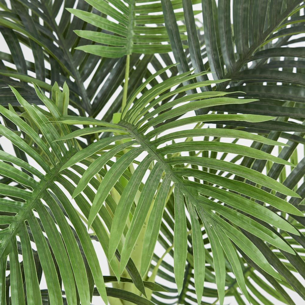 Areca Palm Real Touch 1.1M