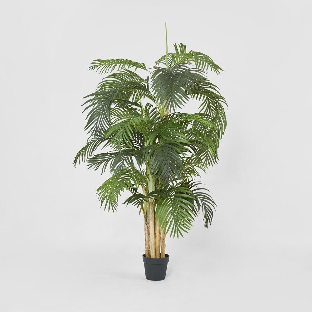 Palm Tree Real Touch 190Cm