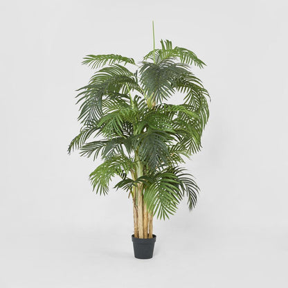 Palm Tree Real Touch 190Cm