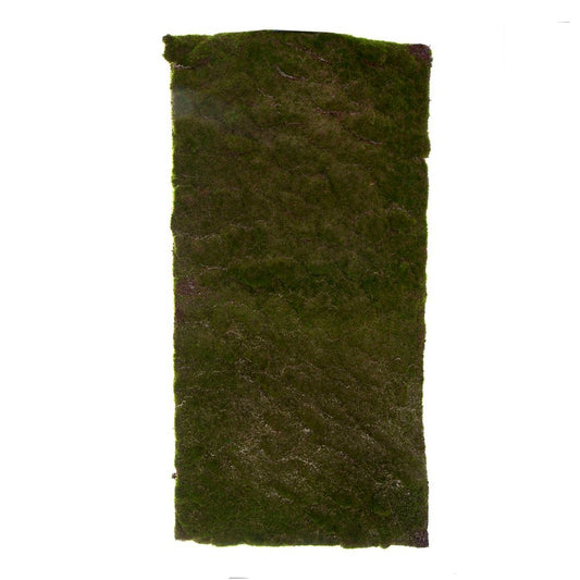 Moss Mat Large 100X50Cm Green