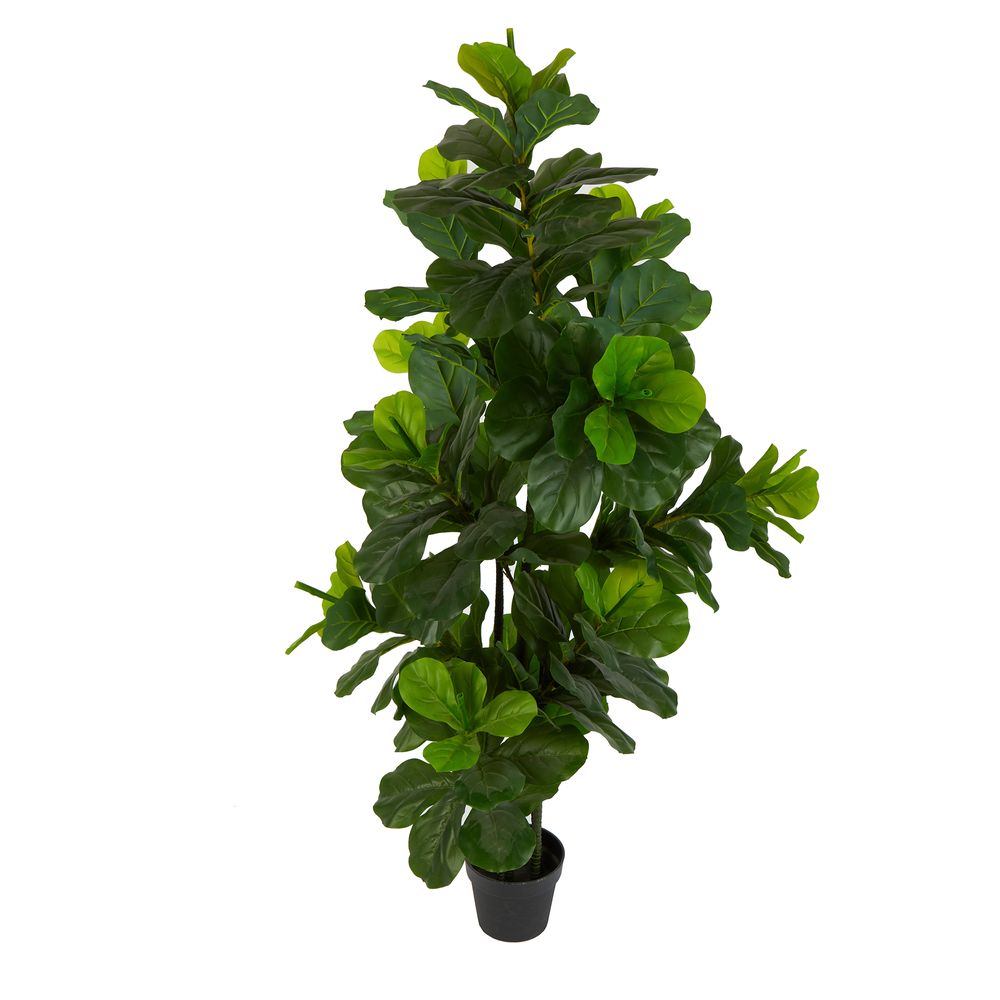 Fiddle Leaf Tree 175Cm