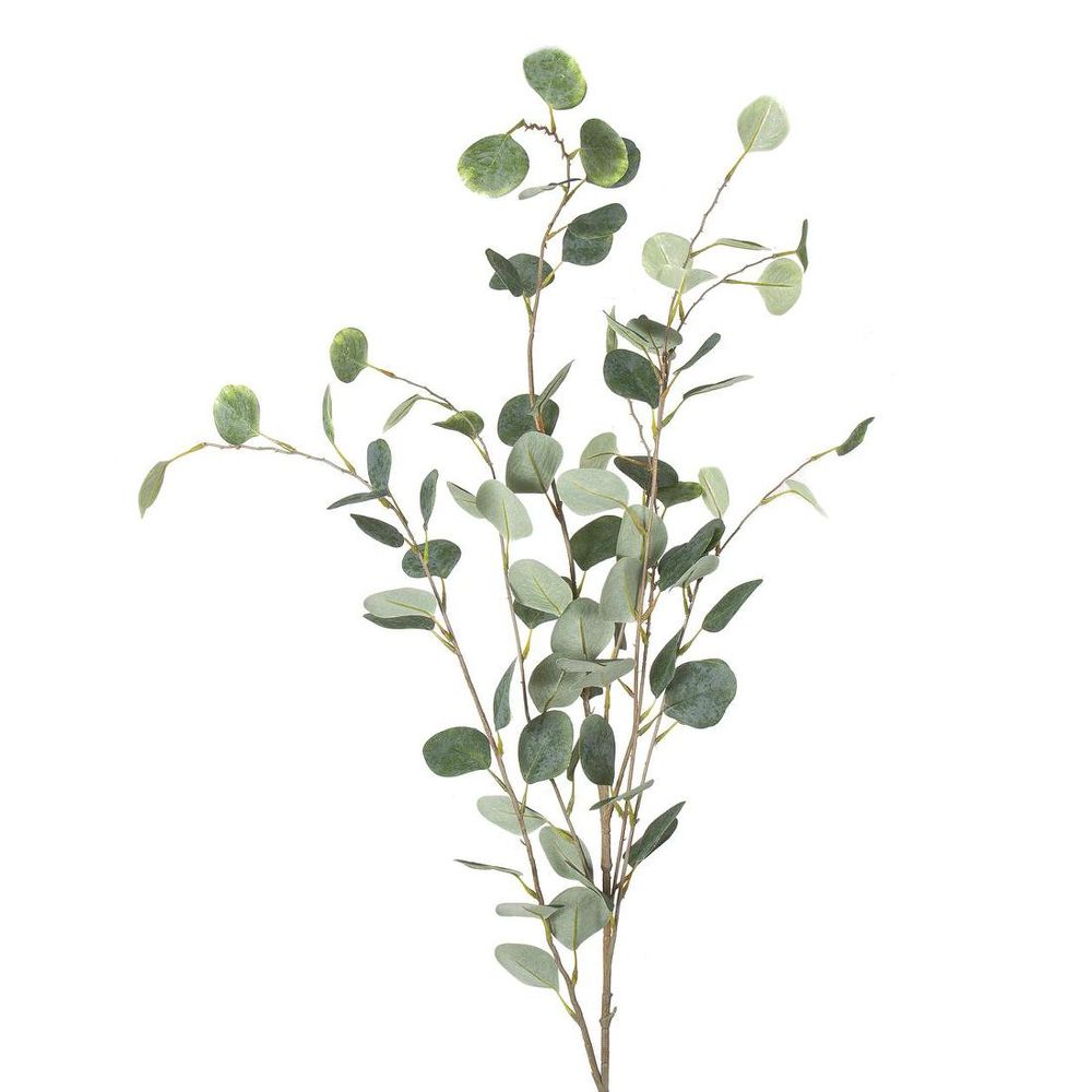 Eucalyptus Spray Extra Long 1.21M