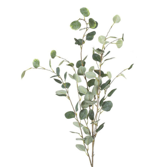 Eucalyptus Spray Extra Long 1.21M