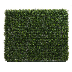 Boxwood Hedge 75X100Cm