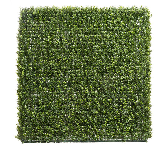 Boxwood Hedge 93X100Cm