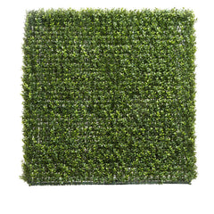 Boxwood Hedge 93X100Cm