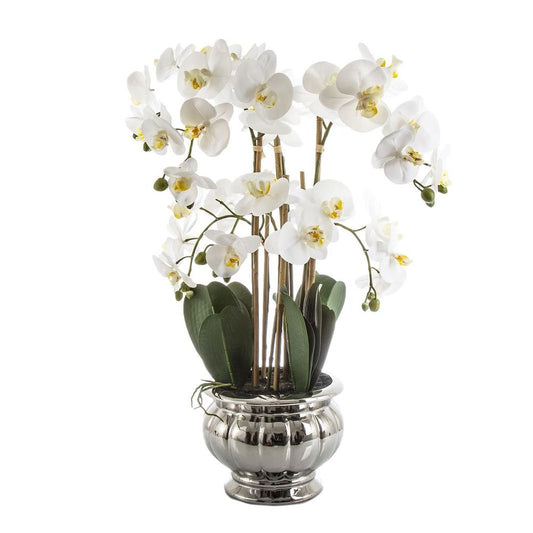 Potted Orchid In Silver Bowl Large 68Cm White