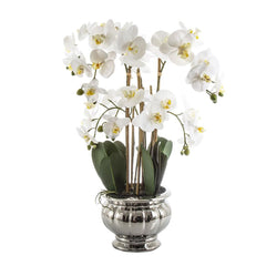 Potted Orchid In Silver Bowl Large 68Cm White