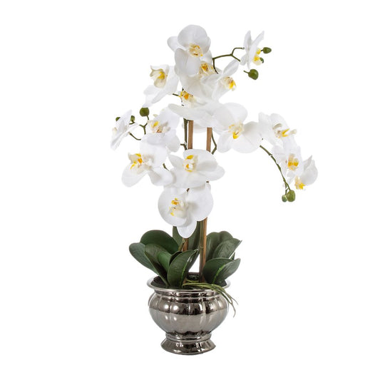 Potted Orchid In Silver Bowl Small 60Cm White