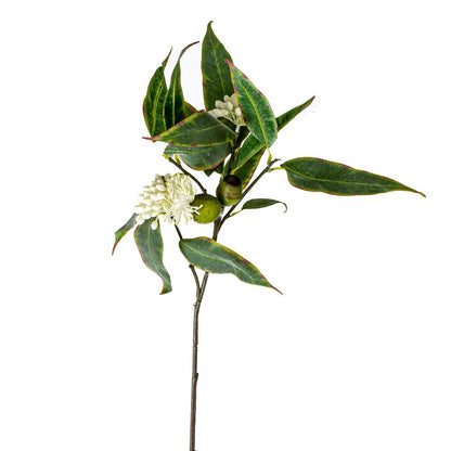 Eucalyptus Flower Spray 70Cm