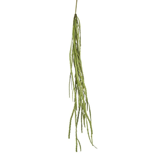 Pencil Hanging Bush 1.15M
