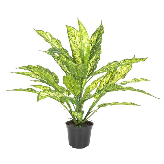 Dracaena Plant Real Touch In Pot 39Cm