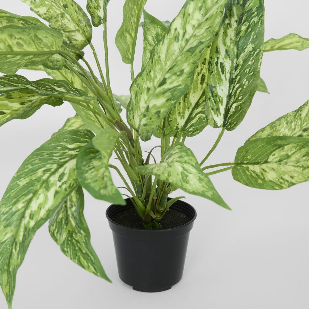 龙血树植物 Real Touch 盆栽 39 厘米