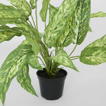 龙血树植物 Real Touch 盆栽 39 厘米
