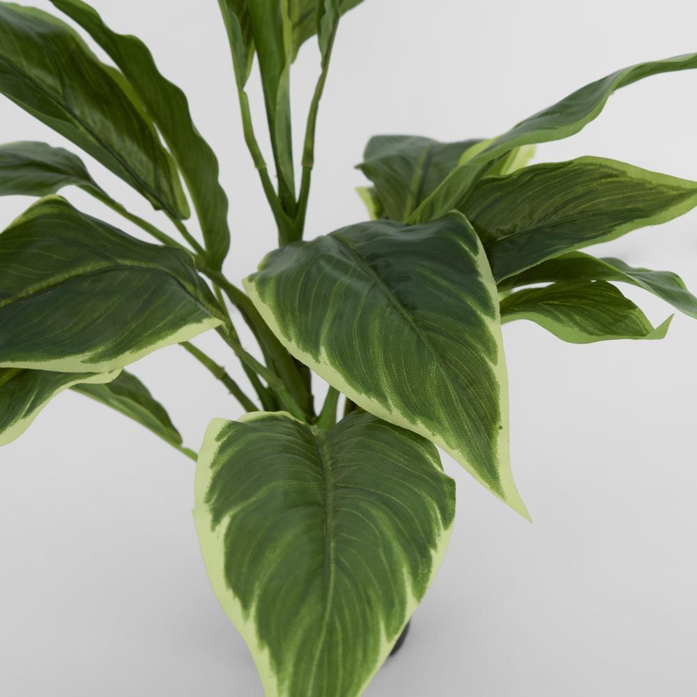 Hosta Plant Real Touch In Pot 42Cm Green