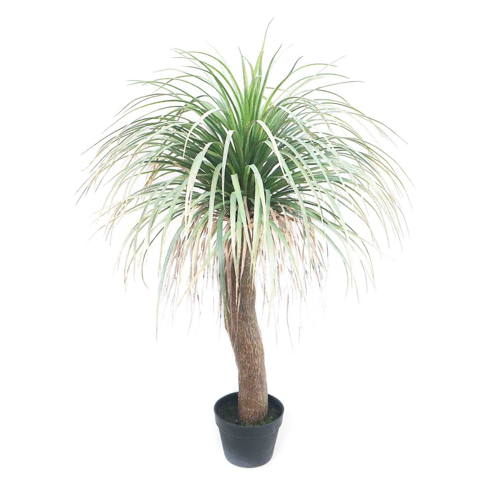 Grass Tree Small 1.1M