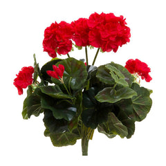 Geranium Bush 38Cm Red