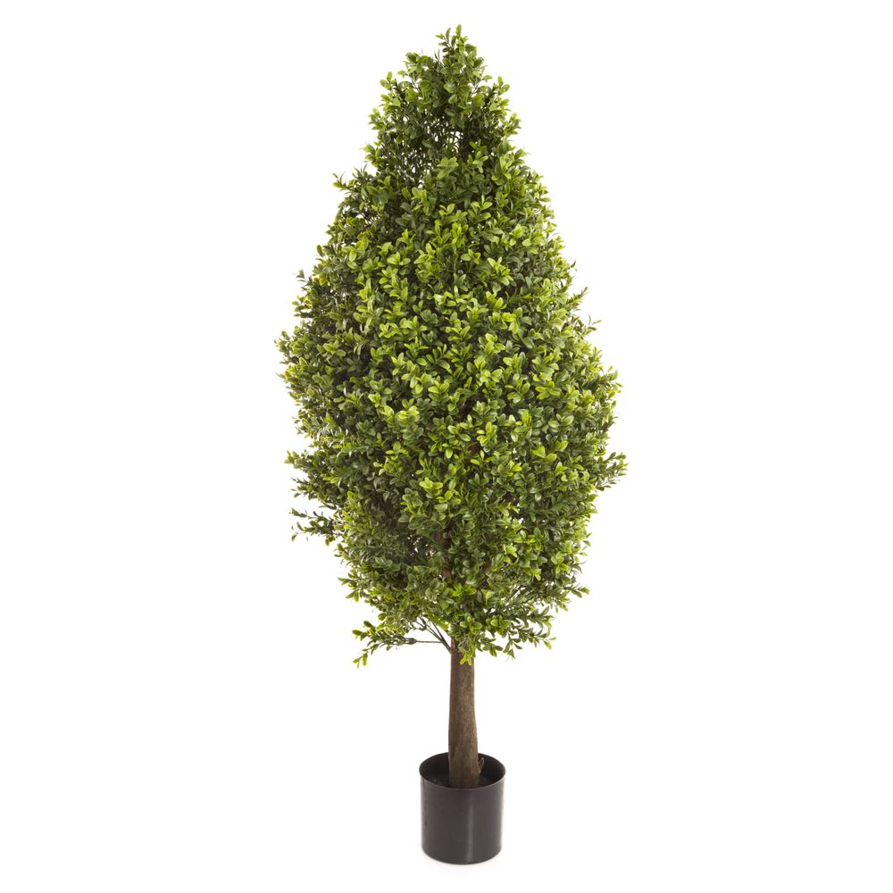 Boxwood Cone 90Cm