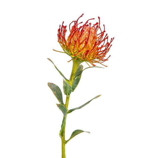 Protea Stem 61Cm Orange