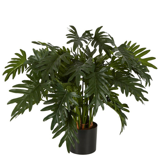 Split Philo Potted Bush 75Cm