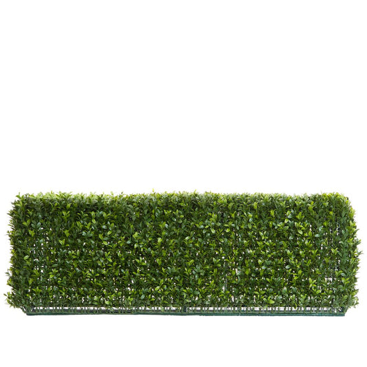 Boxwood Hedge 25X95Cm