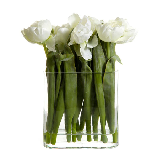 Tulip In Water In Vase White