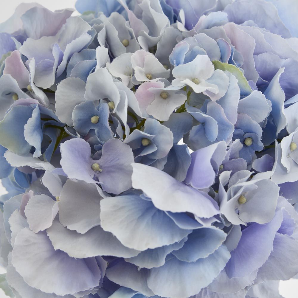绣球花50cm浅蓝色