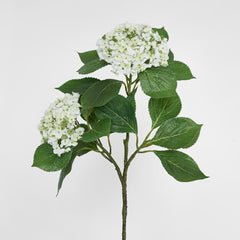 葉付きアジサイ 90cm 白