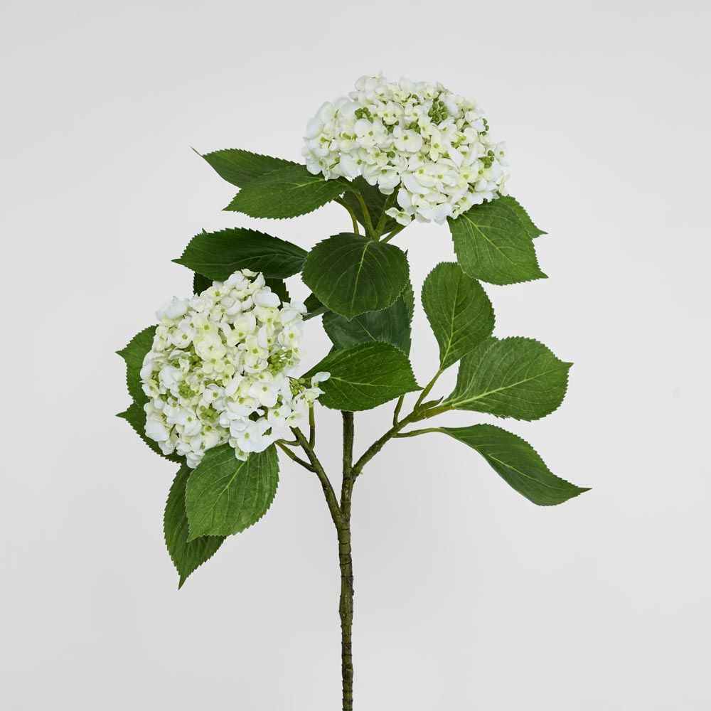 葉付きアジサイ 90cm 白