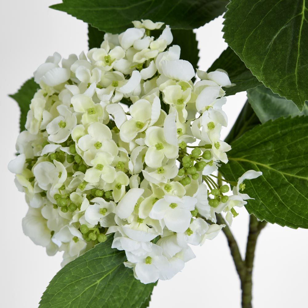 葉付きアジサイ 90cm 白