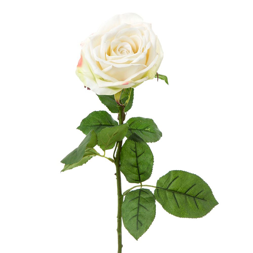 Cabbage Rose Real Touch 65Cm White