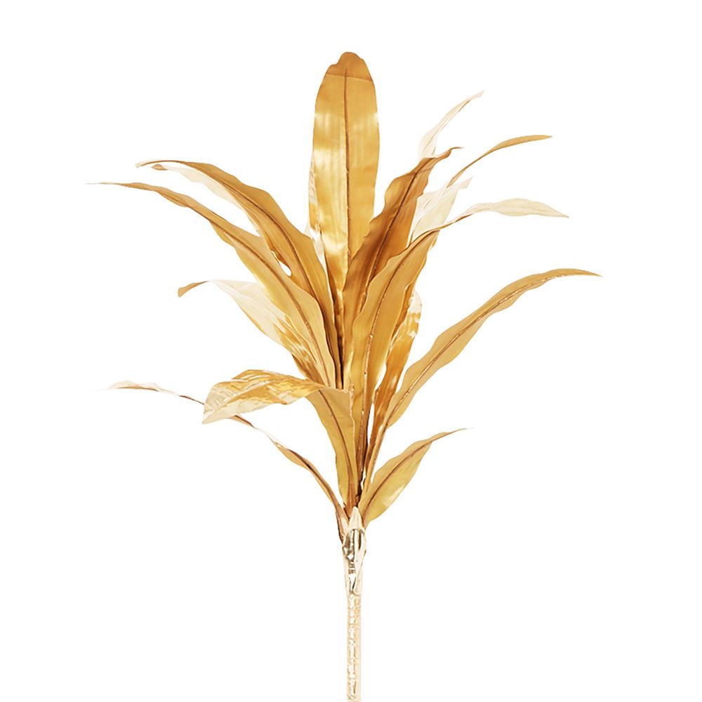 Dracena Stem Gold