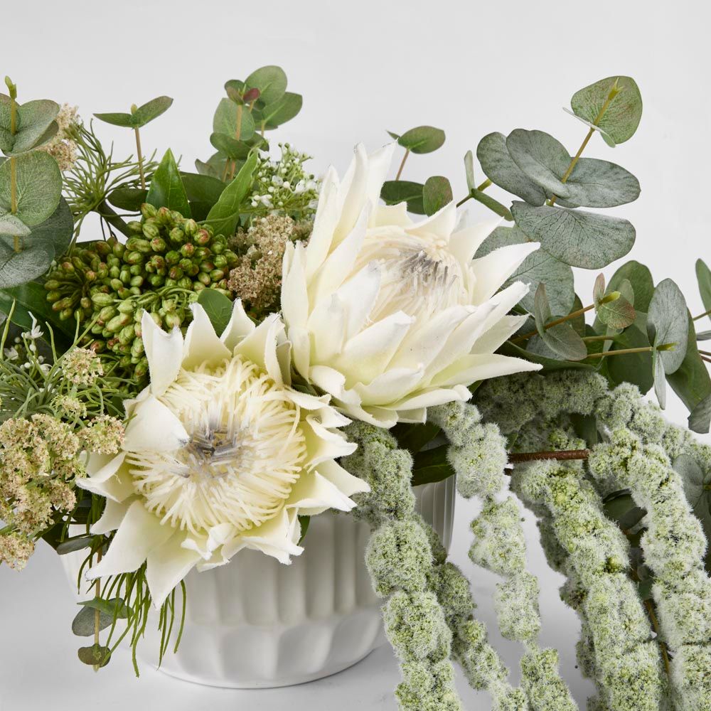 Protea King Stem 75Cm White
